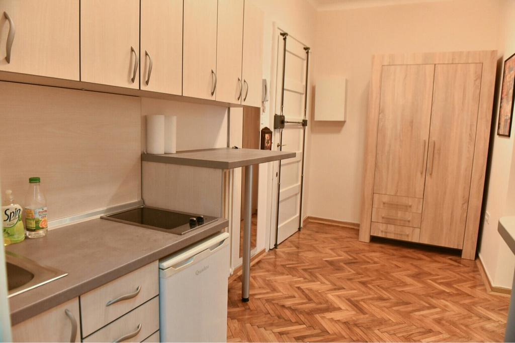 Bojan Central Apartment Novi Sad Buitenkant foto